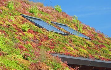 Yoxford living roof systems